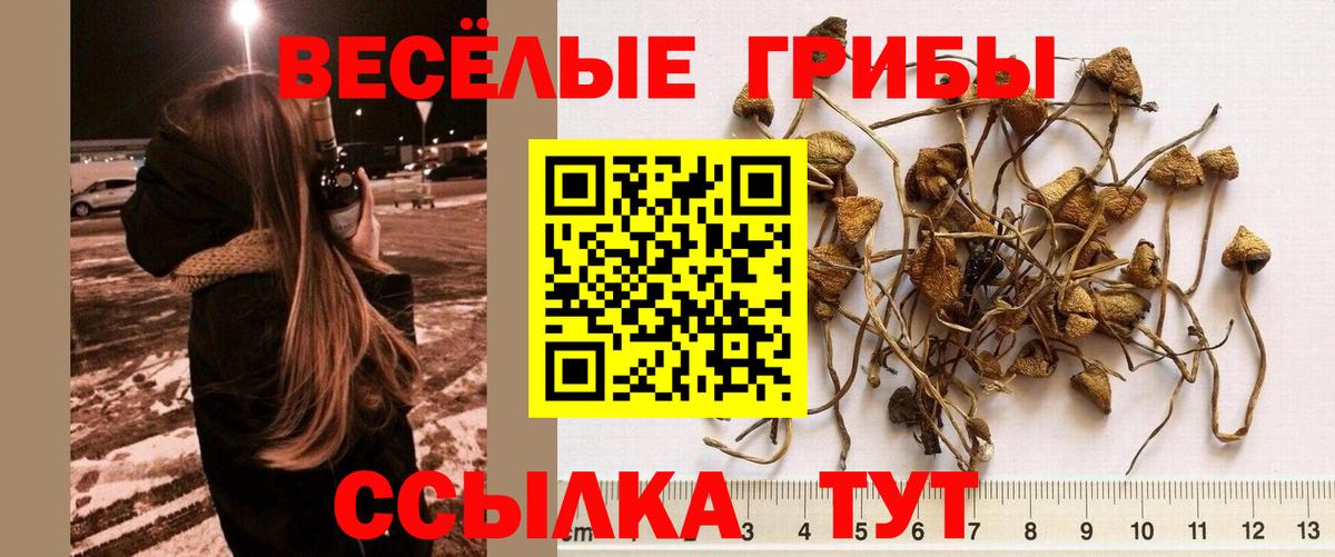 Галлюциногенные грибы мицелий Лангепас
